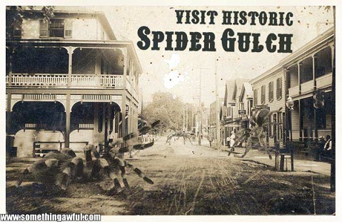spider gulch-80.jpg
